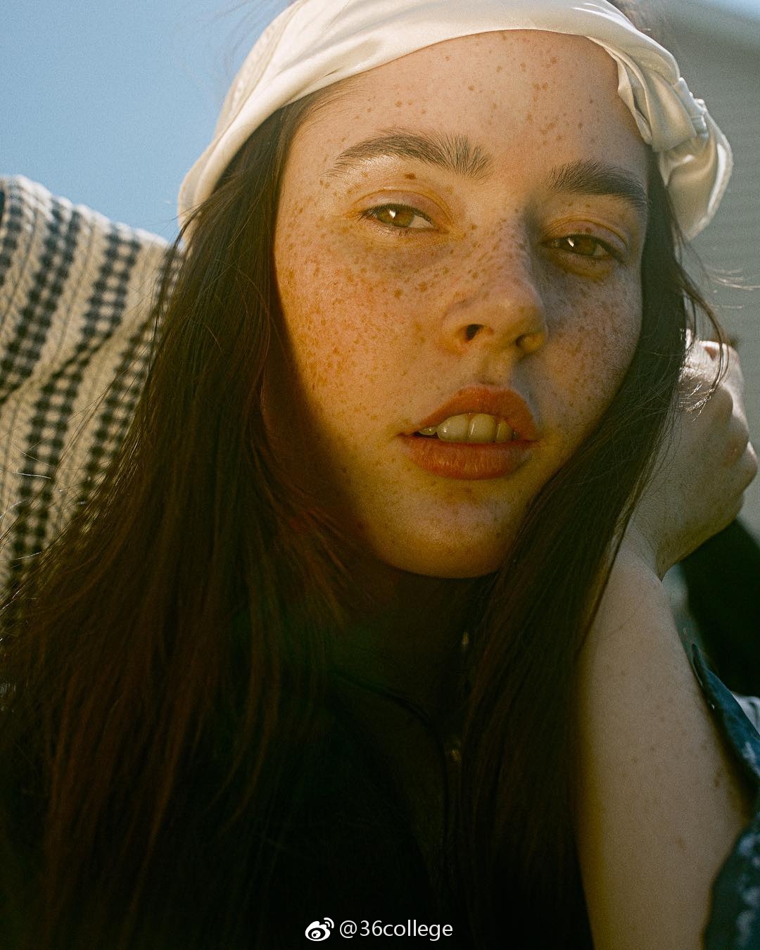 肖像特写 | amos haley