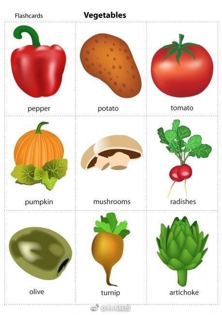 蔬菜的英语词汇大全