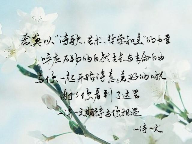 白雪却嫌春色晚，故穿庭树作飞花