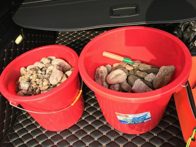 原生缸造景:用最野的石头，造最靓的缸