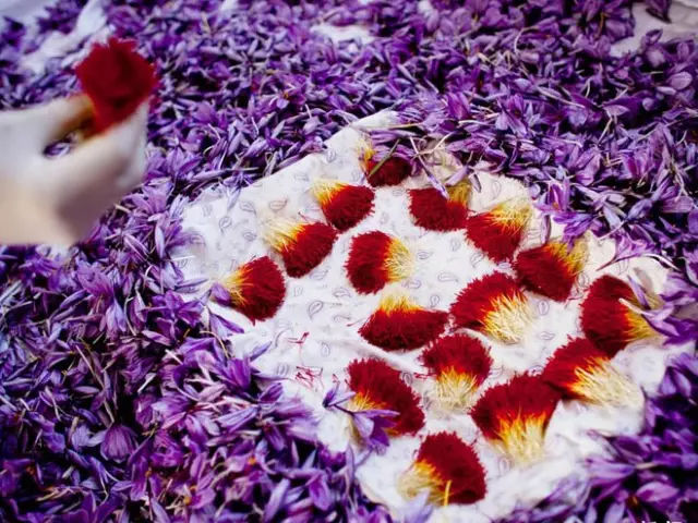 世界上最贵的食物排行榜,如果不出意外,这辈子