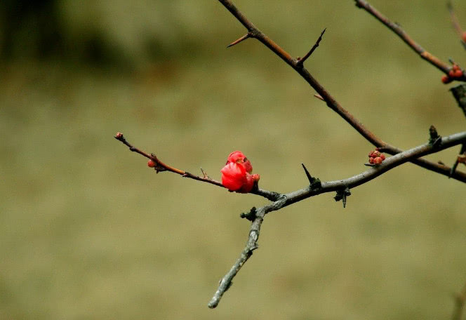 为人处事的五个基本原则,学会了,大家定会认同