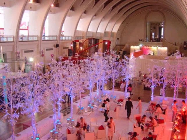 张馨予婚礼现场照片曝光