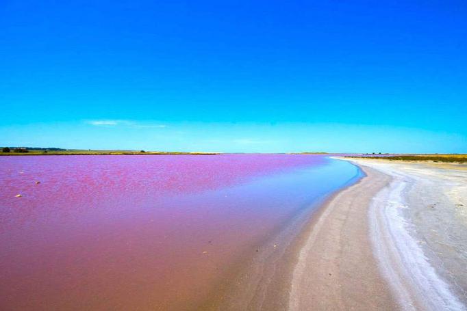 塞内加尔的湖泊开花了:海水竟然不是蓝色而是