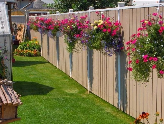 院子里的栅栏,围墙边你会种上哪些花卉?看别人家的院子