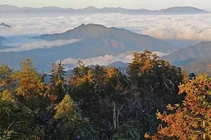 资兴固定p友怎么找