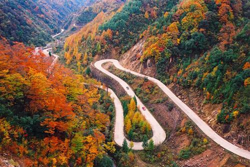 四川人口的最多县和人口最少县!