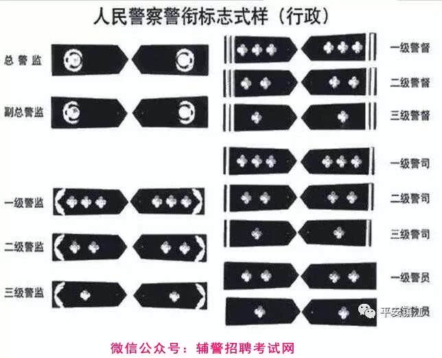 下面是辅警的,大家可以在警衔上进行一下对比