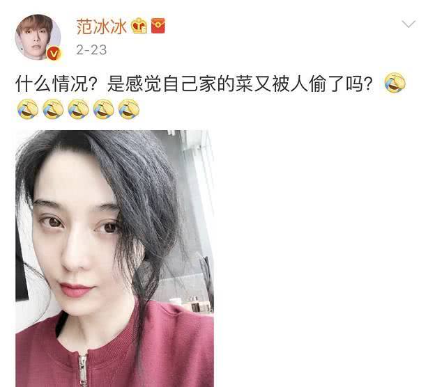 范丞丞刚顺利出道,姐姐范冰冰和准姐夫就换回情侣头像