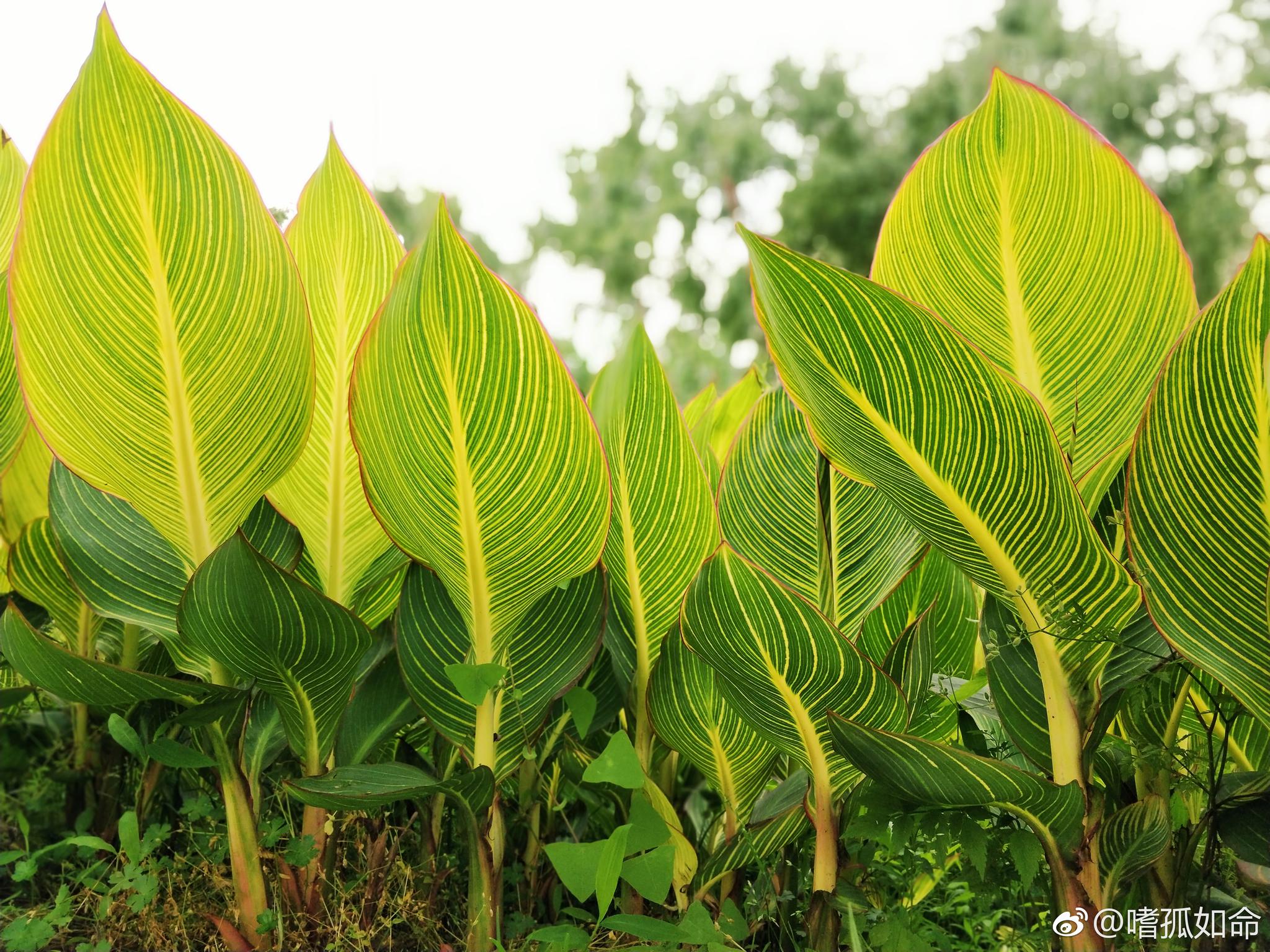 时光匆匆独白,将颠沛磨成卡带。