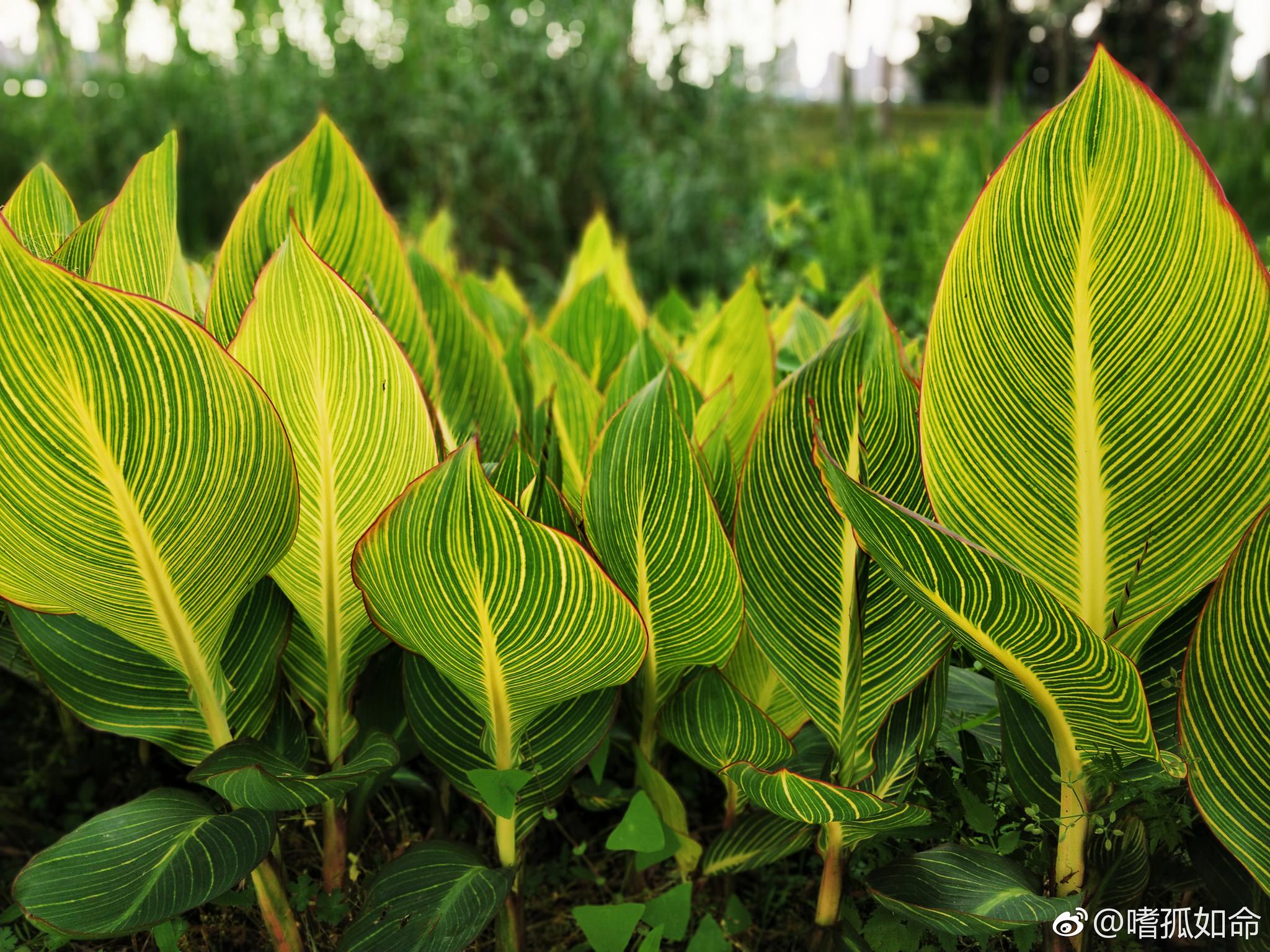 时光匆匆独白,将颠沛磨成卡带。
