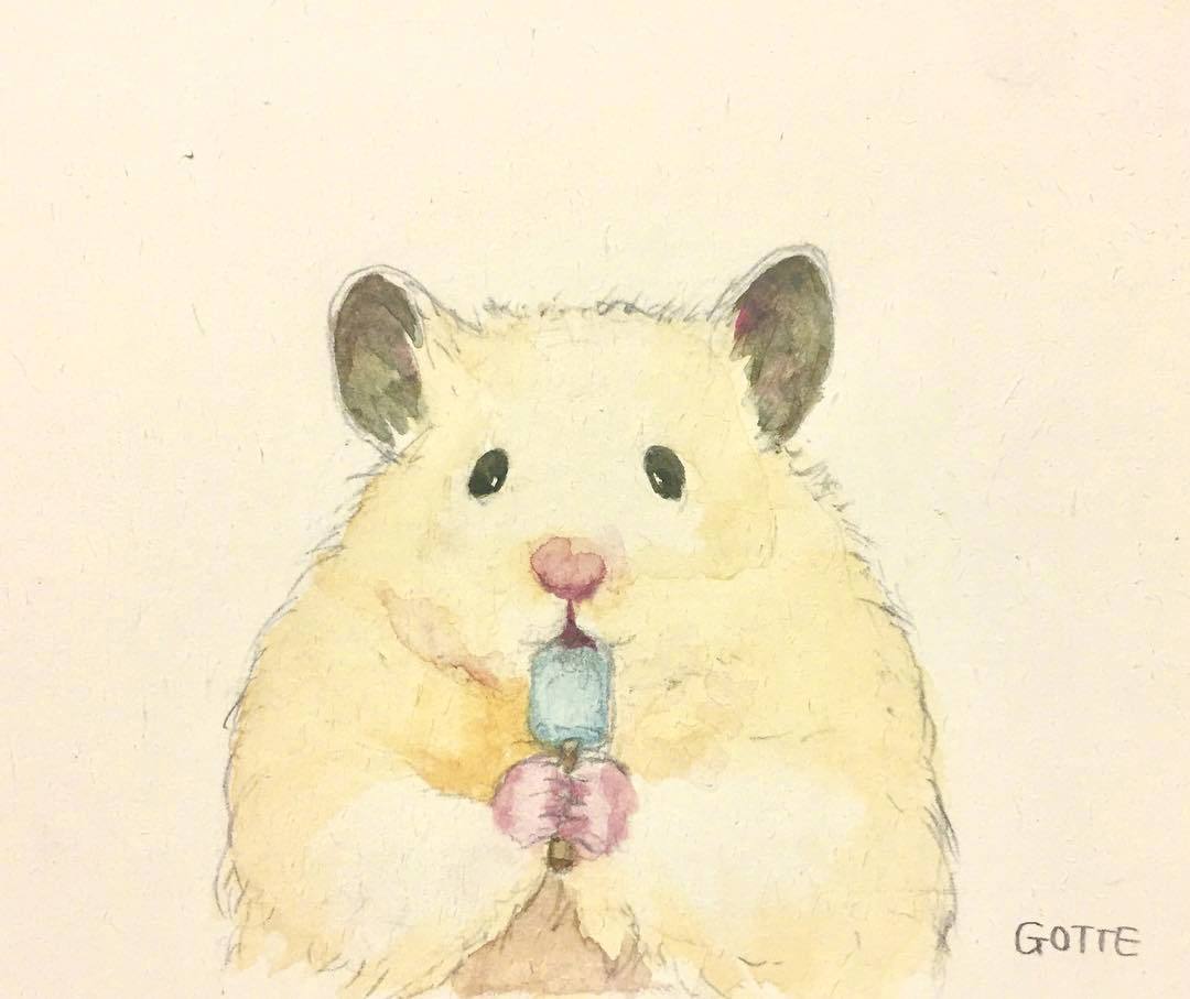 插画师gotte笔下小仓鼠助六的精致生活好可爱呀