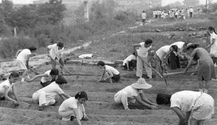 镜头下的60年代老照片,图1如今成古董,图5你玩过吗