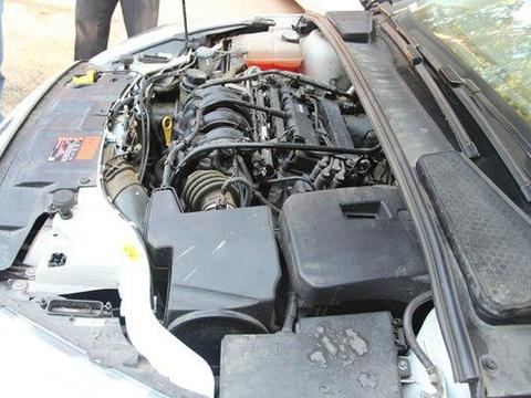 福特福克斯舒适型, 最满意福克斯的前脸, 不管是12款或15款都喜欢