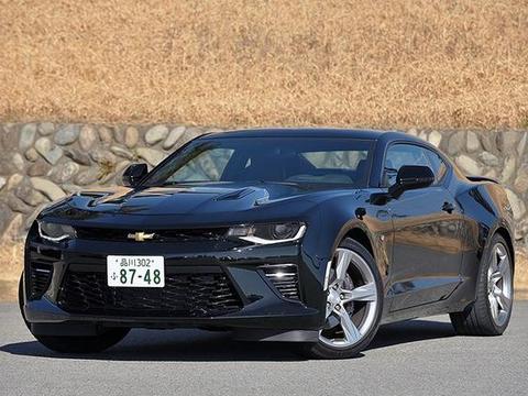 “小钢炮“有新的文章更新，请注意查收