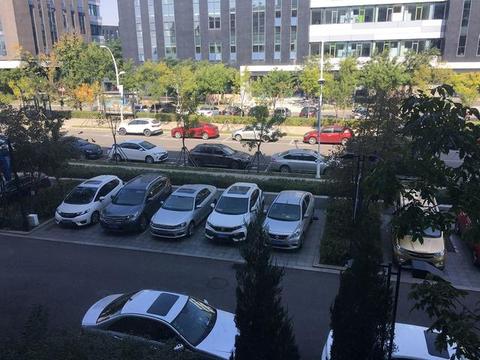 违章停车被贴条，你的第一反应代表了你的人品？