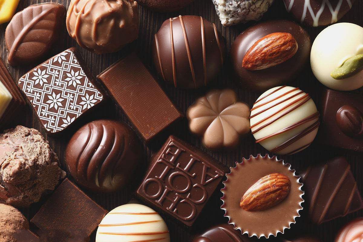 狗为什么不能吃巧克力 狗狗禁食清单大全