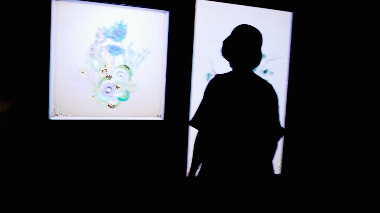 沉浸式艺术展正在北京798的悦·美术馆展出