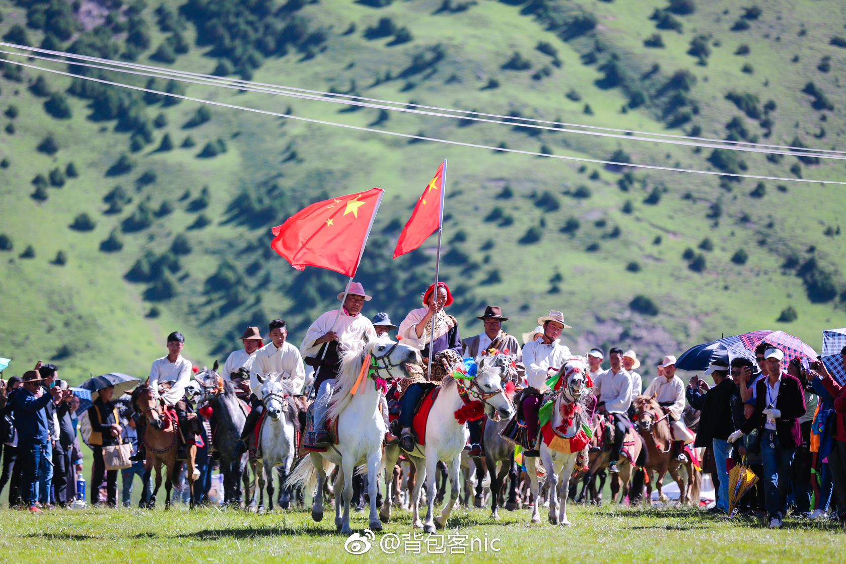 那曲品茶工作室电话