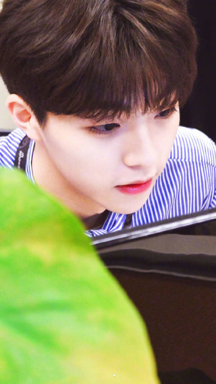 陈立农壁纸无水印 这组壁纸只有陈立农的女票