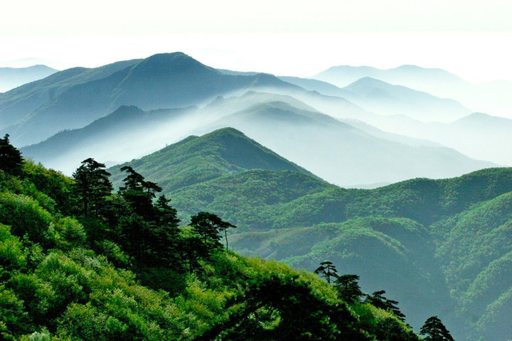 "大树华盖闻九州"之誉的天目山,有奇岩怪石之险,流泉飞瀑之胜