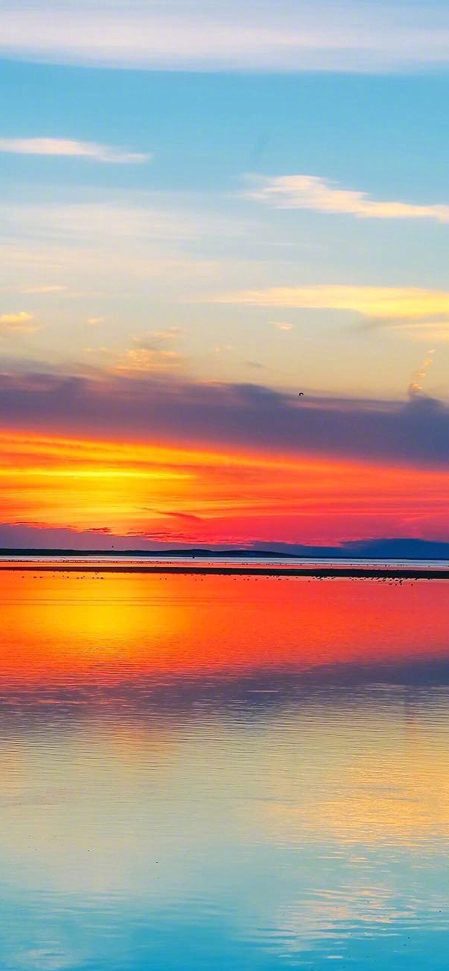 轻轻柔柔的想念,在单恋的季节