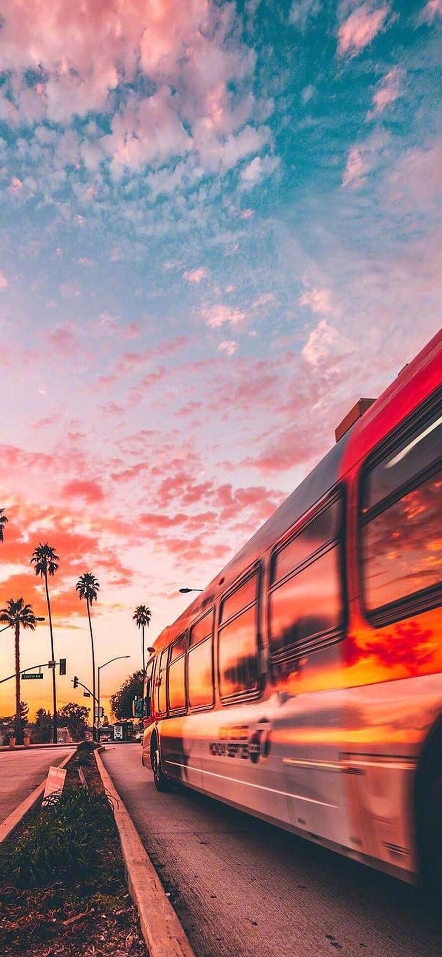 轻轻柔柔的想念,在单恋的季节