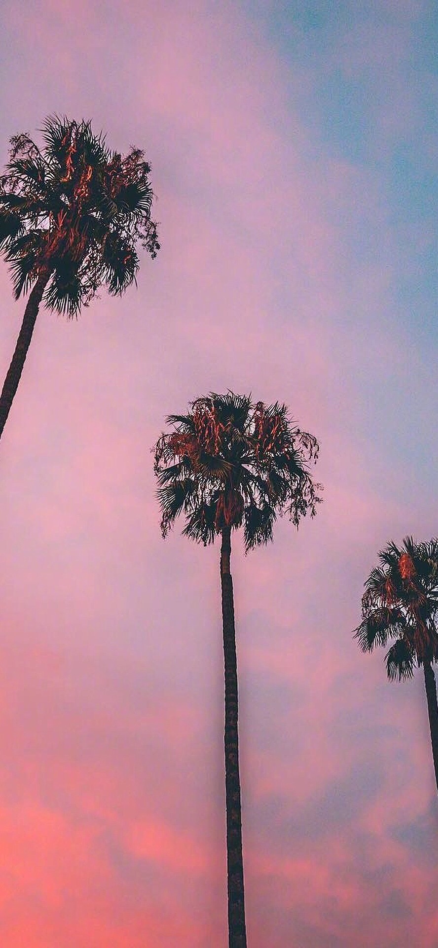 轻轻柔柔的想念,在单恋的季节