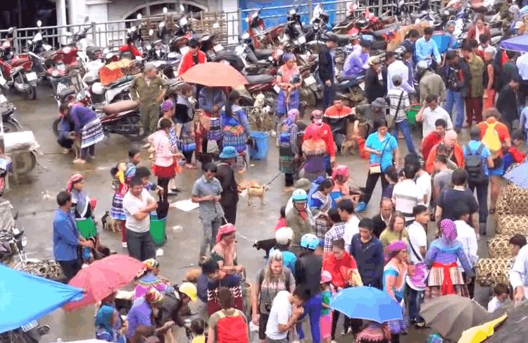 中国游客到越南,实拍大山农村水牛市场,一头牛