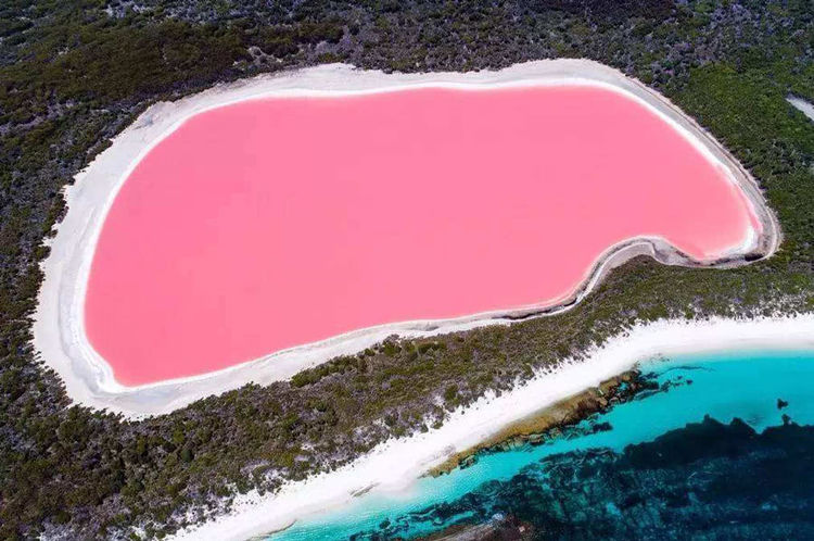 塞内加尔的湖泊开花了:海水竟然不是蓝色而是