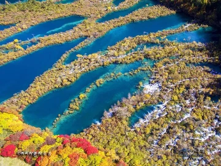 九寨沟五花海,珍珠滩震后的首开放!盛夏美颜只为等待