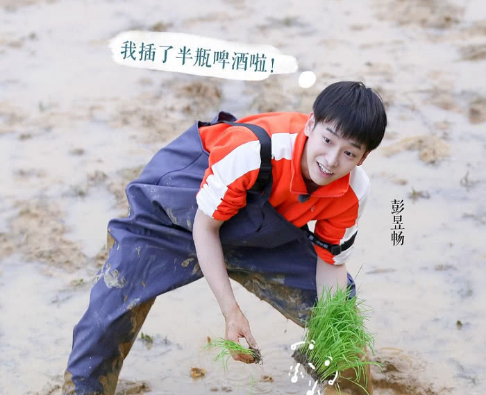 《向往的生活》黄磊做饭太好吃?看完彭昱畅的