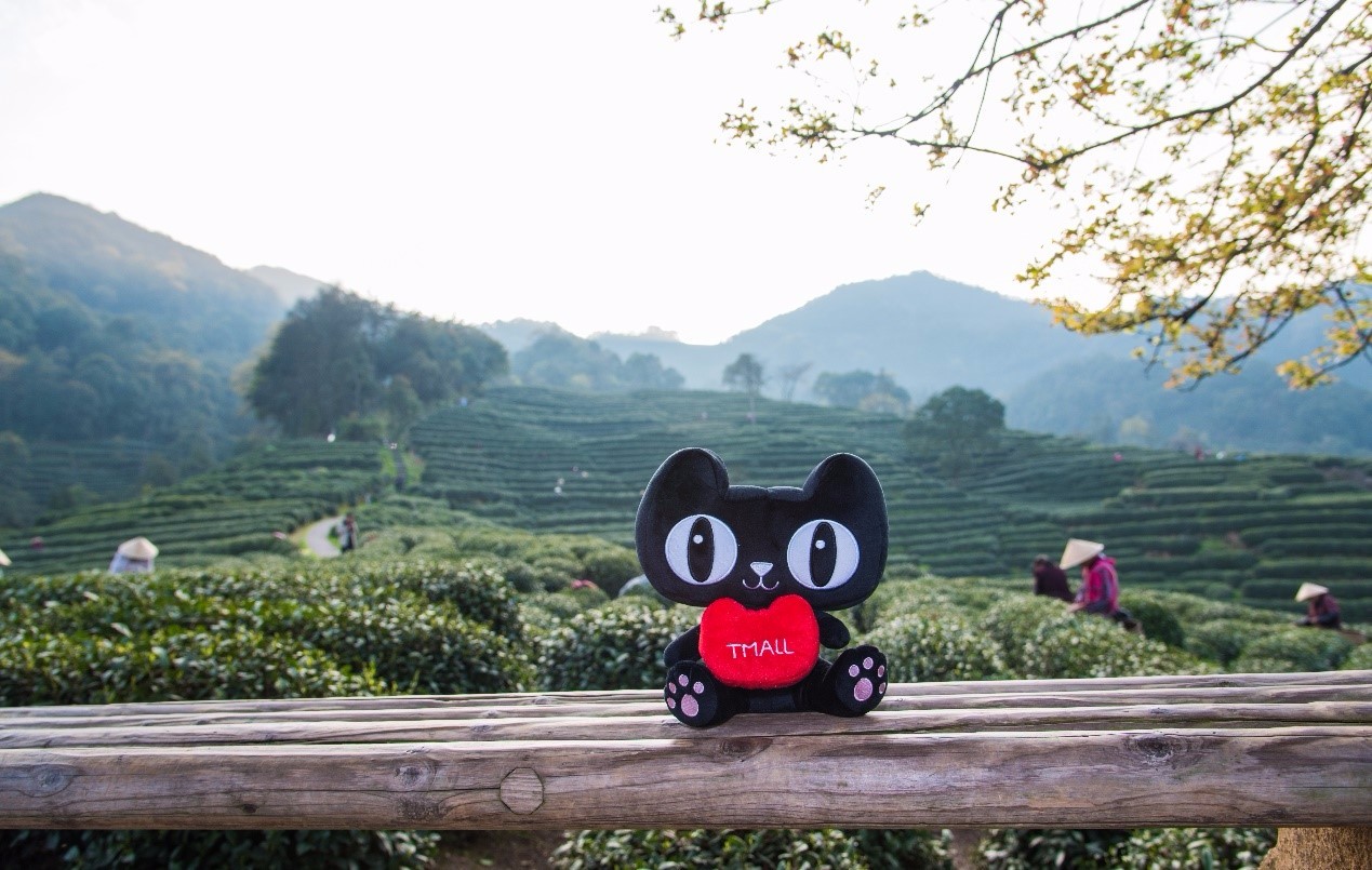 菜鸟无人机运茶2分钟搞定 支付宝扫码开门 智