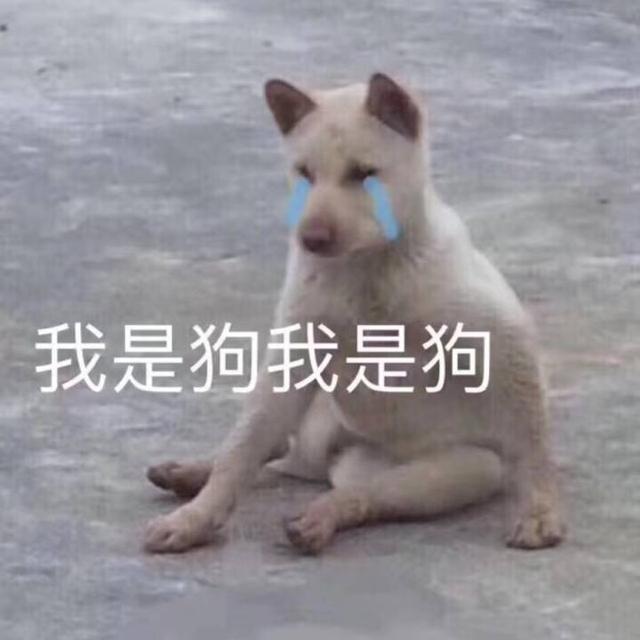 表情包分享 好玩的表情包 聊天表情包