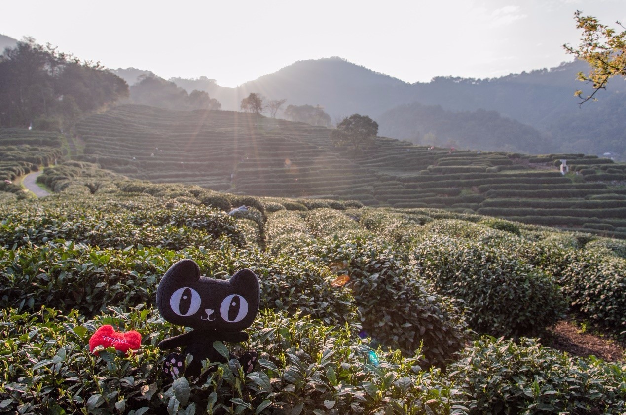 菜鸟无人机运茶2分钟搞定 支付宝扫码开门 智