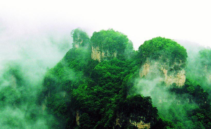 华北地区最大的亚高山巅在这个地方