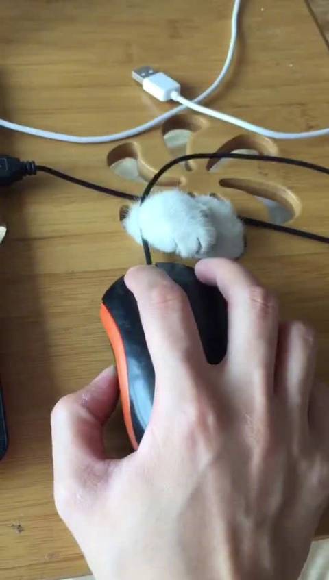 小奶狗的发音课堂正式开课啦!
