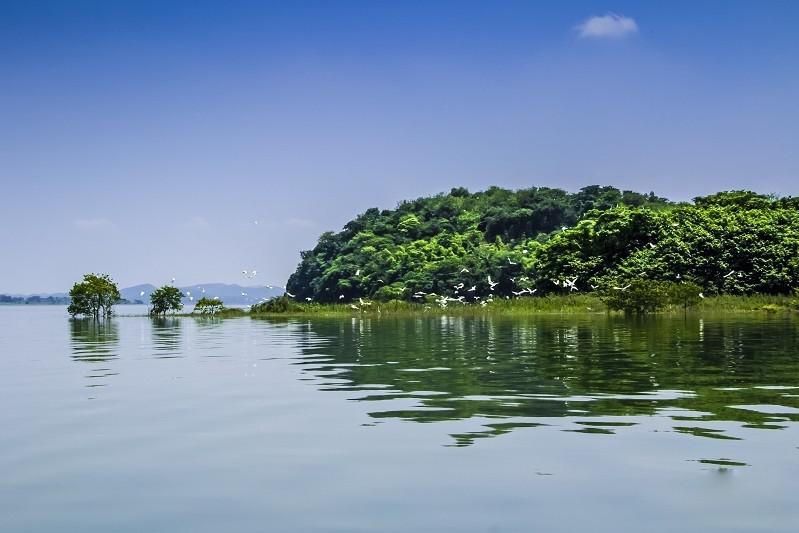 中国第一大淡水湖干涸变草原,水究竟去了