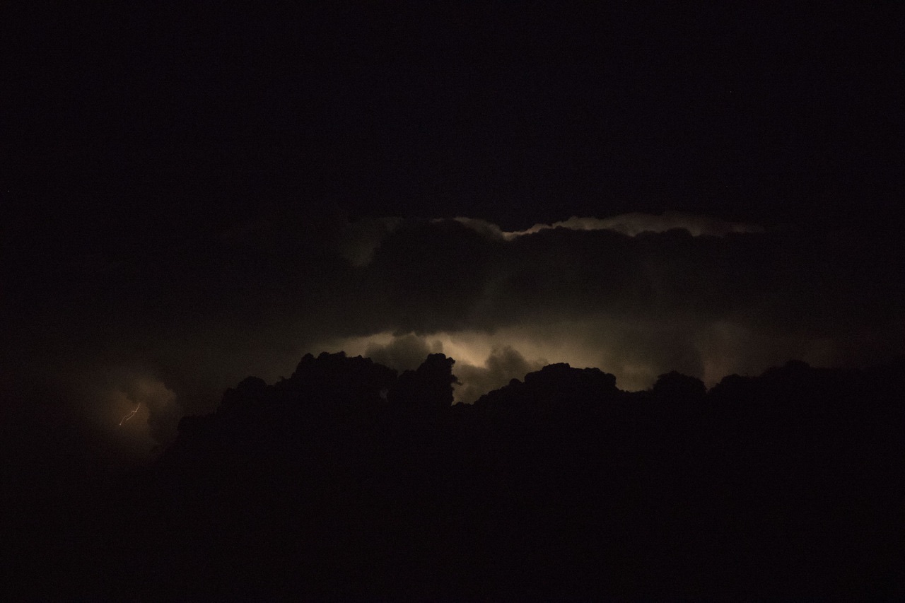 “这是黄昏的太阳，我们却把它当成了黎明的曙光。”