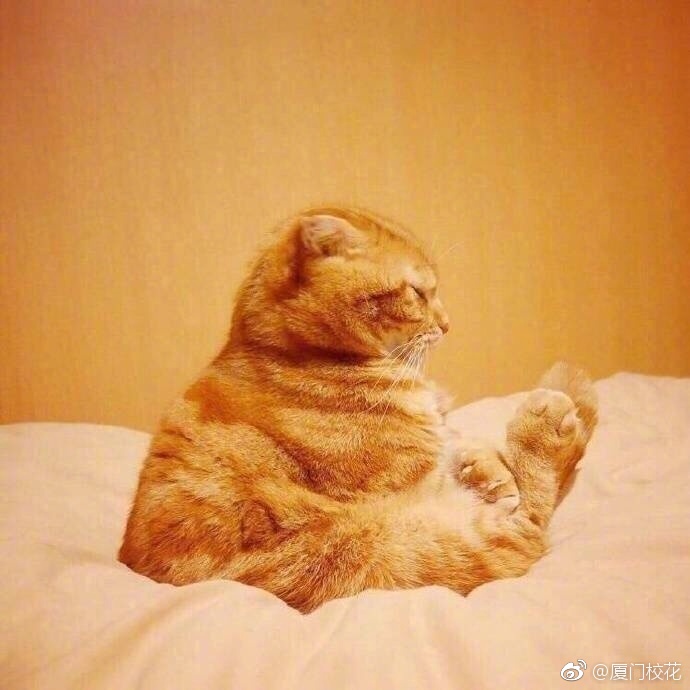 女朋友生气时的样子 简直形象 ,萌翻了!
