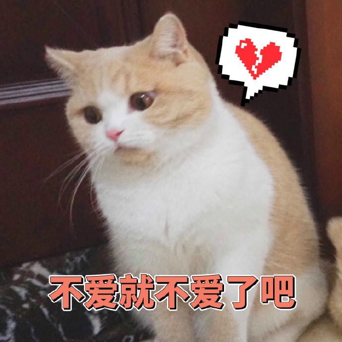 蜜桃猫咪表情包精选:爱我别走