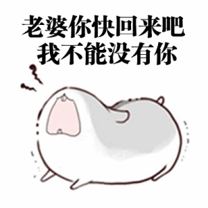 小仓鼠版跟老婆道歉表情包