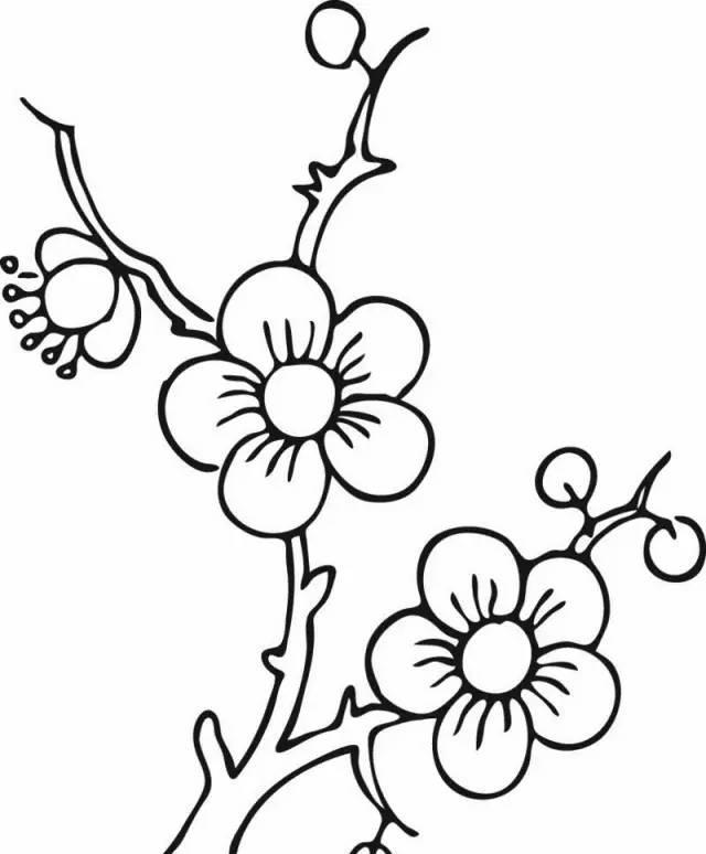 师讯网推荐——儿童简笔画大全教程,各种花朵植物简笔