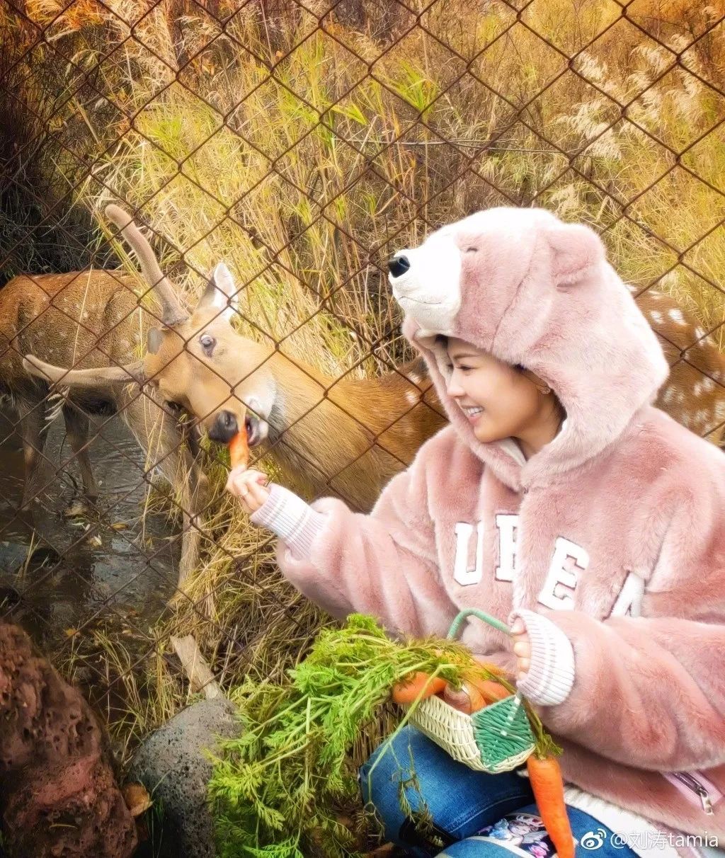 黄晓明于正合作?张雨绮靠综艺赚钱?刘涛挑戏