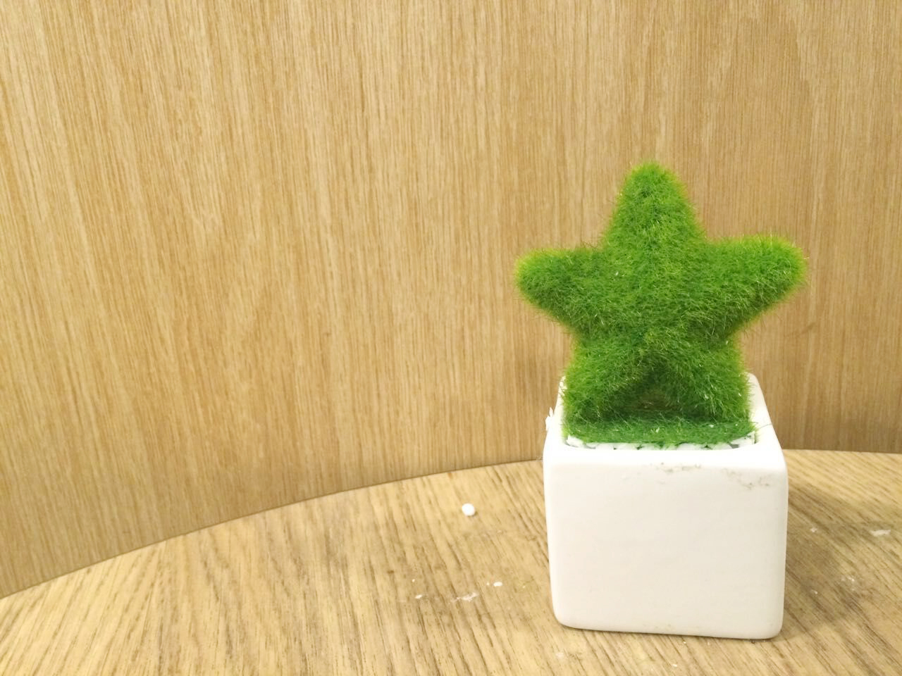 心好累!单词总是背了忘怎么办!