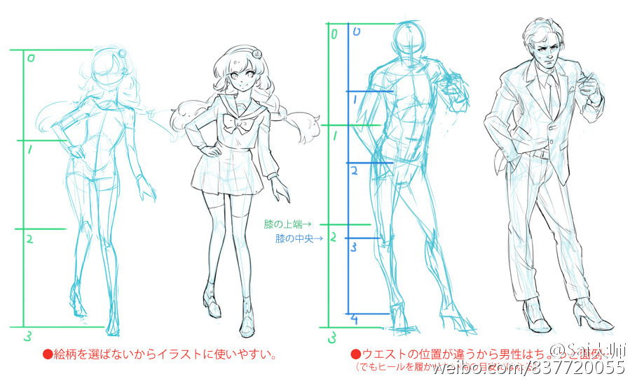 初学者向 面部、人体比例绘画练习，里面有男女不同的比例对比