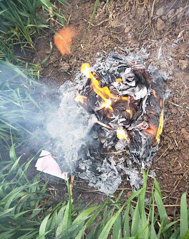 聪明的人都知道,孝顺不孝顺的人也都明白这个