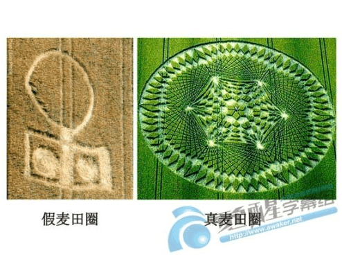 南非麦田怪圈之谜：科学与传说的较量