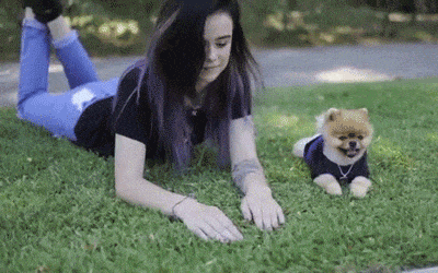 看了马上笑到脸抽筋的的二十三张图(280954)