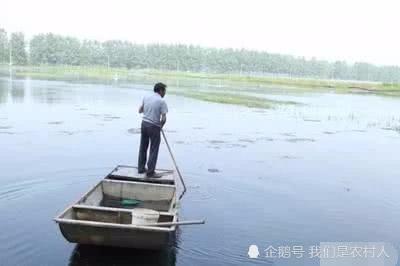 养殖小龙虾一亩地投资多少钱,利润多高?